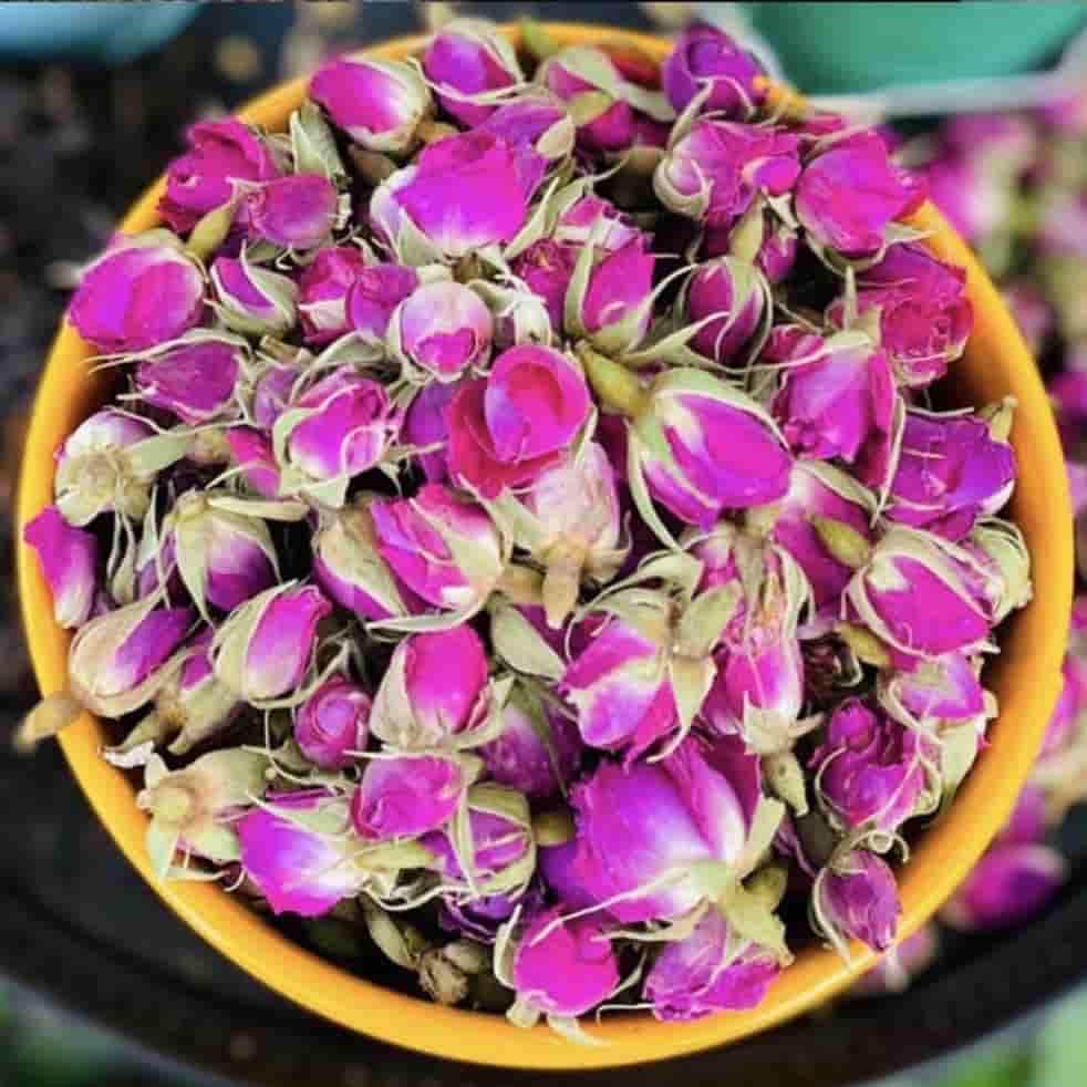 غنچه گل محمدی آرامبخش گیاهی خوشبو 3